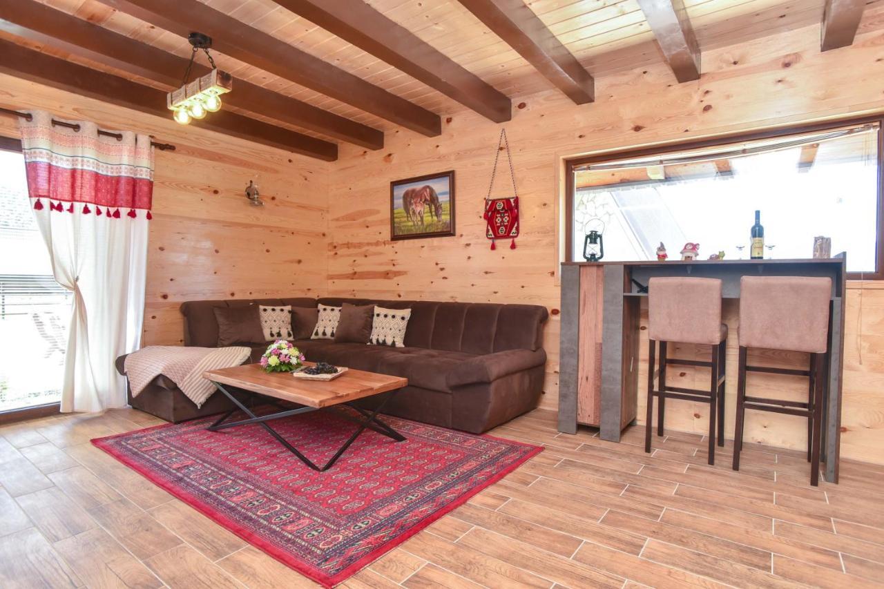 Big Bear Villa Zabljak (Zabljak)